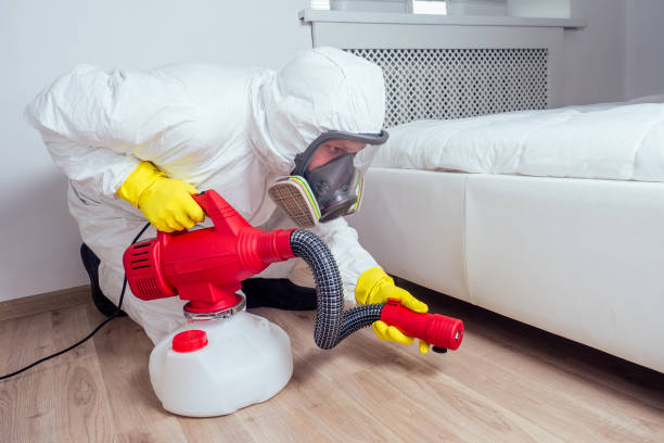 Best Best Pest Control Companies  in Nissequogue, NY