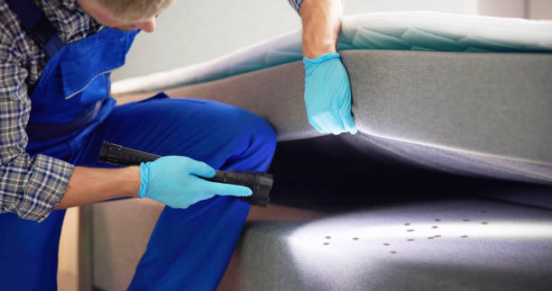 Best Termite Control Services  in Nissequogue, NY