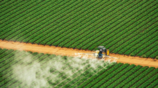 Best Commercial Pest Control Services  in Nissequogue, NY