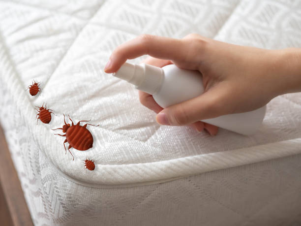 Best Best Pest Control Companies  in Nissequogue, NY