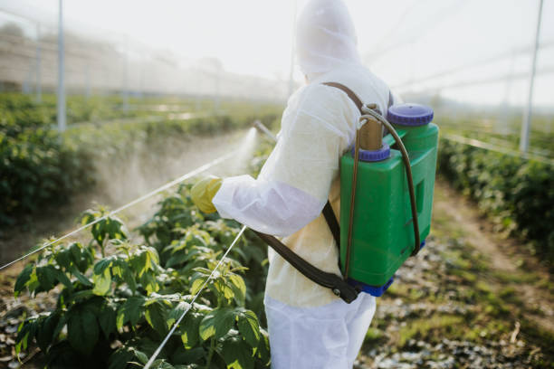 Reliable Nissequogue, NY Pest Control Solutions